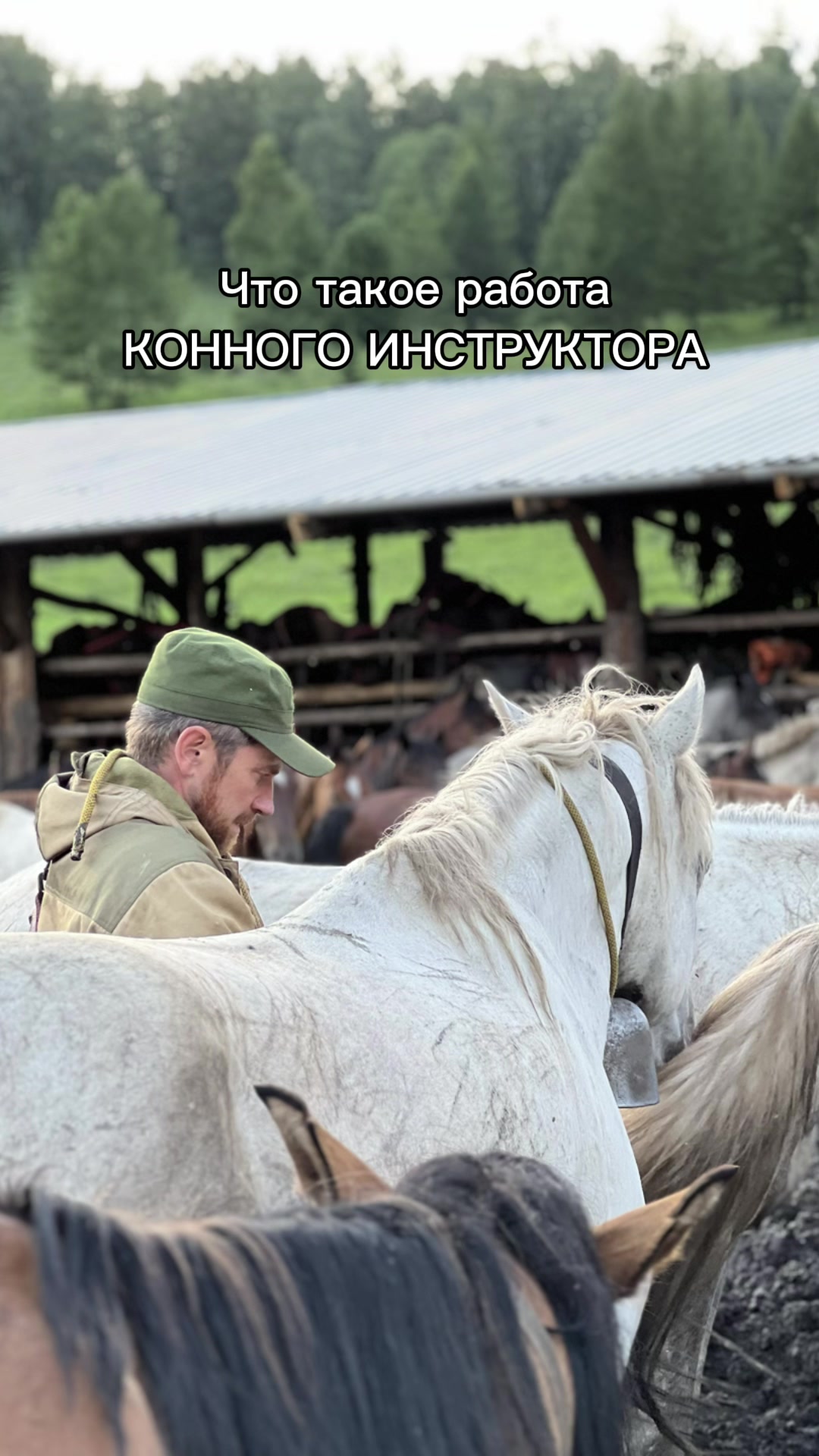 Инструктор - гораздо больше, чем гид!