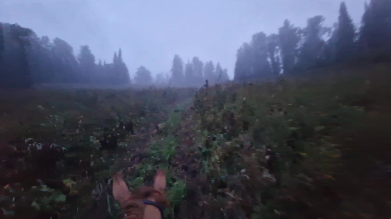 Эко-походы: строительство стоянок, новые тропы, уборка мусора