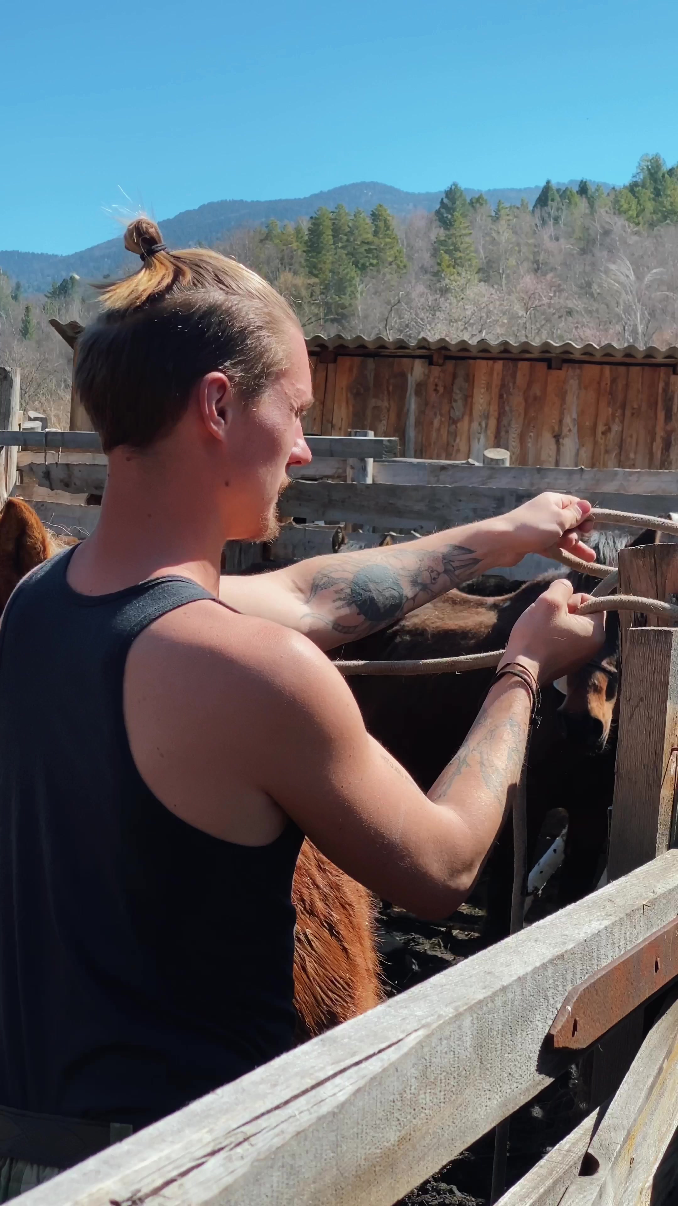 Маяк Алтая - ответственные коневладельцы