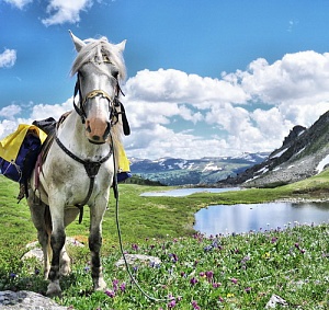 Russian Altay, Siberia. Horseback riding trip Karakol’skie Lakes (loop ride)